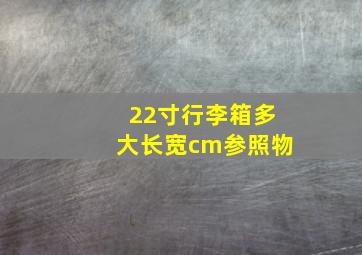 22寸行李箱多大长宽cm参照物