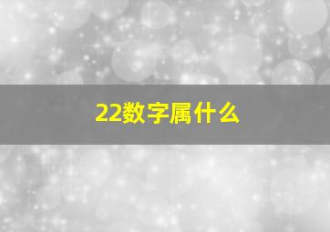 22数字属什么