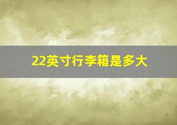 22英寸行李箱是多大