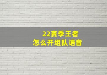 22赛季王者怎么开组队语音