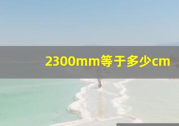 2300mm等于多少cm