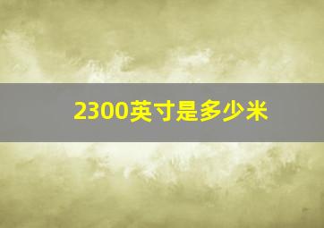 2300英寸是多少米