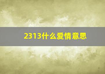 2313什么爱情意思