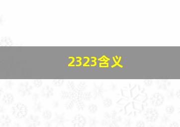 2323含义