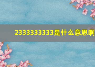 2333333333是什么意思啊