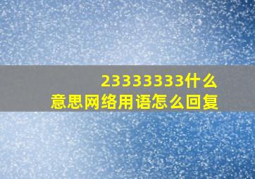 23333333什么意思网络用语怎么回复