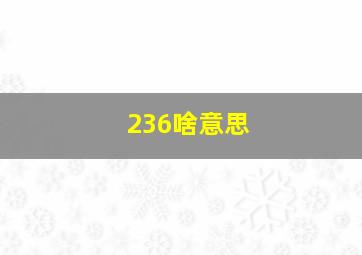 236啥意思