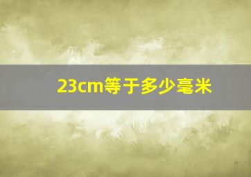 23cm等于多少毫米