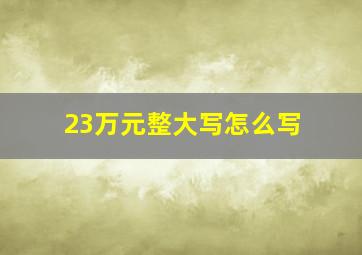 23万元整大写怎么写