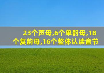 23个声母,6个单韵母,18个复韵母,16个整体认读音节