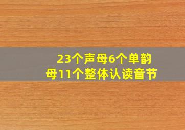 23个声母6个单韵母11个整体认读音节