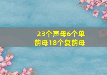 23个声母6个单韵母18个复韵母