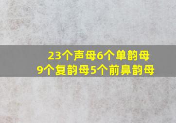 23个声母6个单韵母9个复韵母5个前鼻韵母