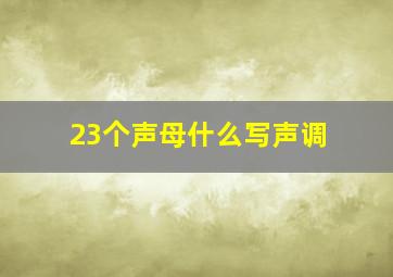 23个声母什么写声调