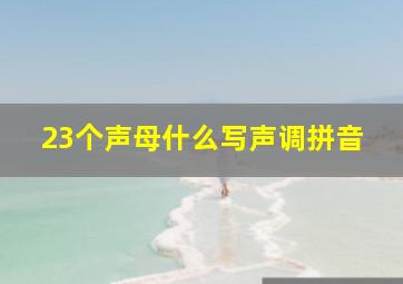 23个声母什么写声调拼音