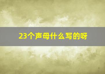 23个声母什么写的呀