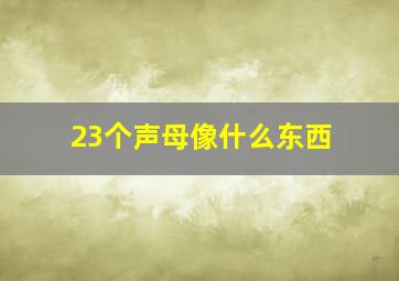 23个声母像什么东西