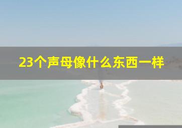 23个声母像什么东西一样