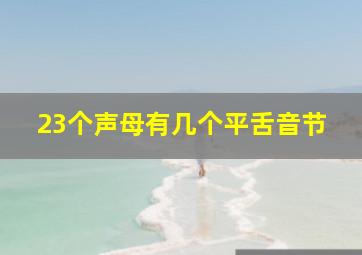 23个声母有几个平舌音节