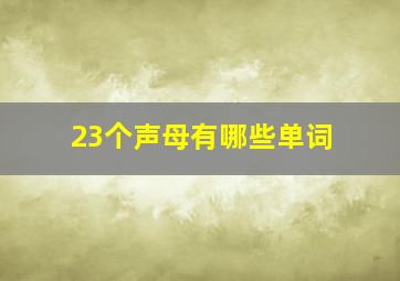 23个声母有哪些单词