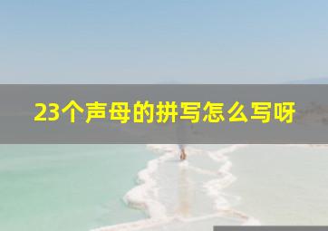 23个声母的拼写怎么写呀