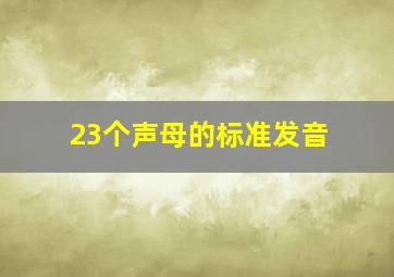 23个声母的标准发音