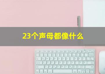 23个声母都像什么