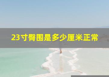 23寸臀围是多少厘米正常