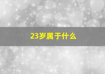 23岁属于什么