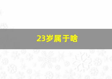 23岁属于啥