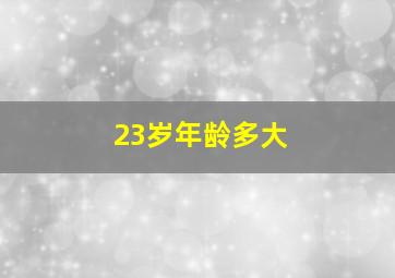 23岁年龄多大