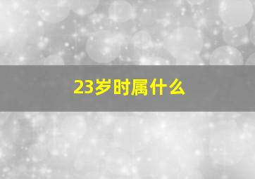 23岁时属什么