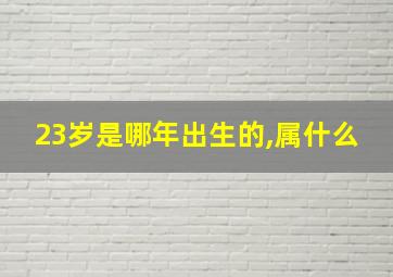 23岁是哪年出生的,属什么