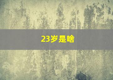 23岁是啥