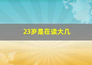 23岁是在读大几