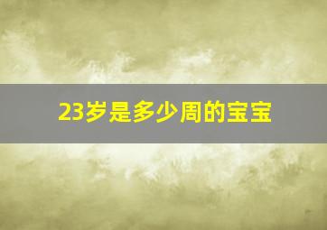 23岁是多少周的宝宝