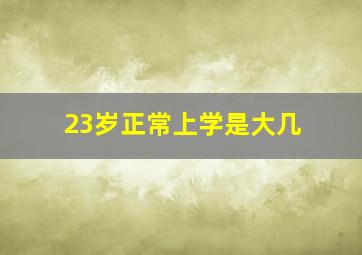 23岁正常上学是大几