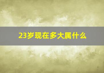 23岁现在多大属什么