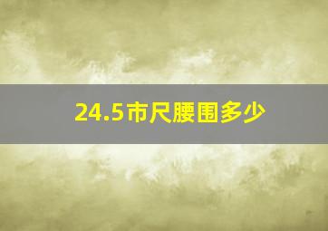 24.5市尺腰围多少