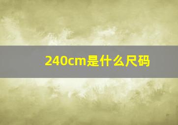 240cm是什么尺码