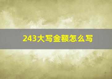 243大写金额怎么写