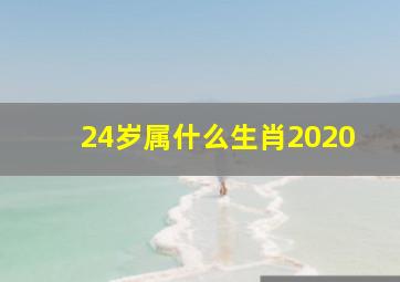 24岁属什么生肖2020