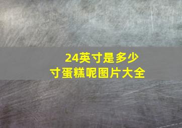 24英寸是多少寸蛋糕呢图片大全