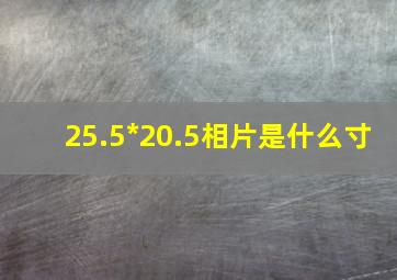 25.5*20.5相片是什么寸