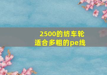 2500的纺车轮适合多粗的pe线