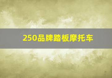 250品牌踏板摩托车