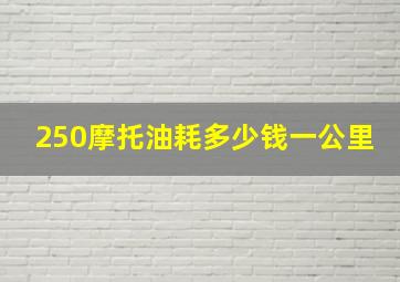 250摩托油耗多少钱一公里