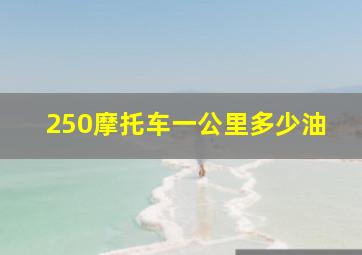 250摩托车一公里多少油