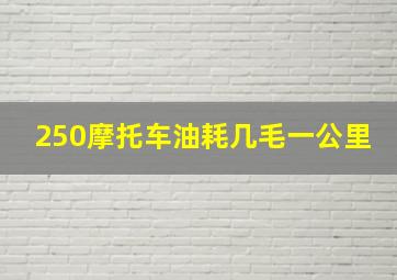 250摩托车油耗几毛一公里