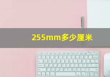 255mm多少厘米